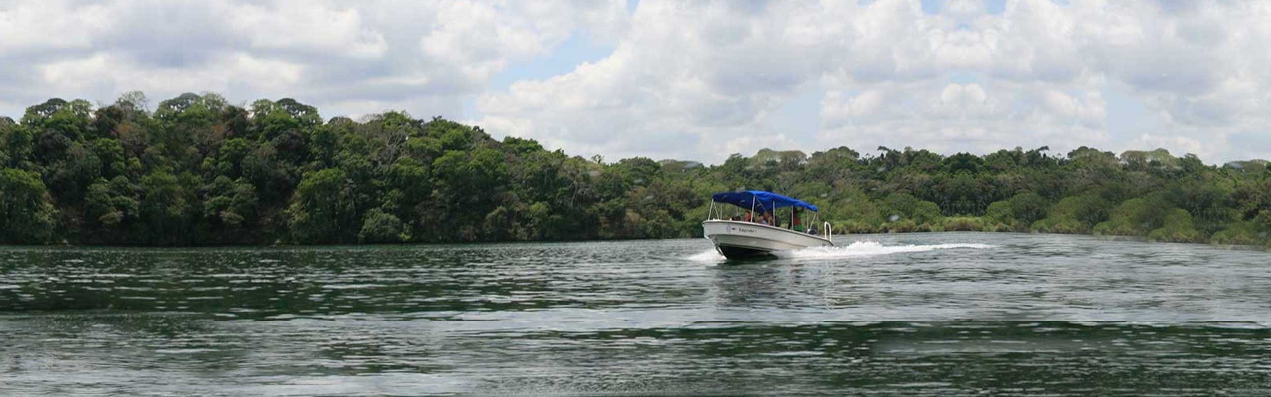Gatun Lake Jungle Boat Tour