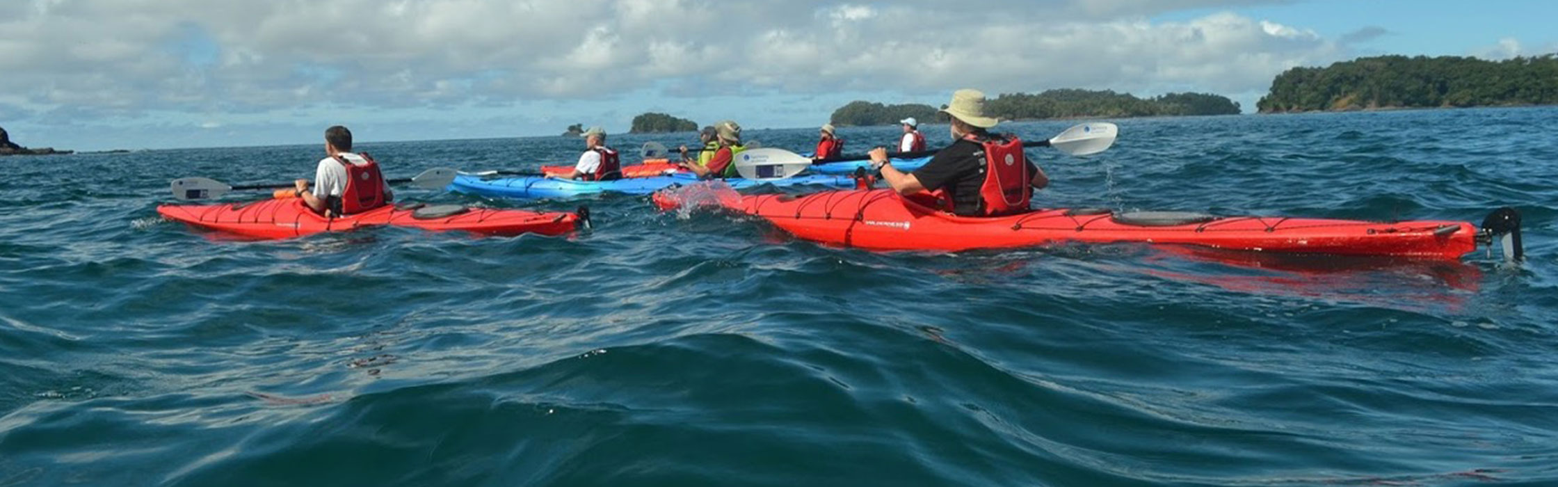 Kayak in the Mangroves in the Gulf of Chiriqui