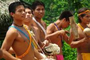 Indigenous Encounter in Chagres National Park -470
