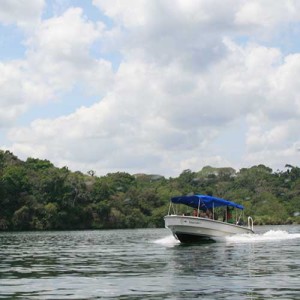 Jungle Boat Tour and Hiking the Soberania National Park -829